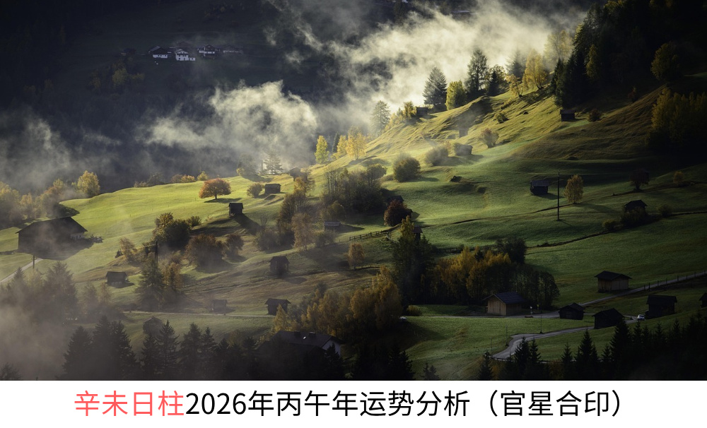 辛未日柱2026年丙午年运势分析（官星合印）