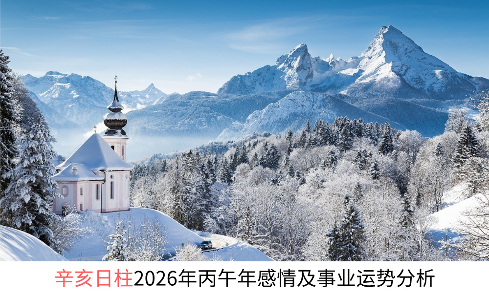 辛亥日柱2026年丙午年感情及事业运势分析