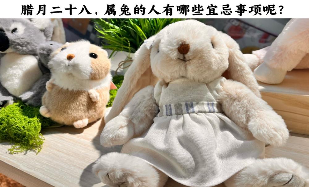 腊月二十八，属兔的人有哪些宜忌事项呢？