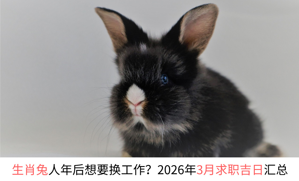 生肖兔人年后想要换工作?2026年3月求职吉日汇总