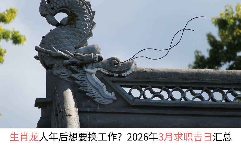 生肖龙人年后想要换工作？2026年3月求职吉日汇总