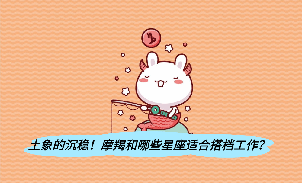 土象的沉稳！摩羯和哪些星座适合搭档工作？