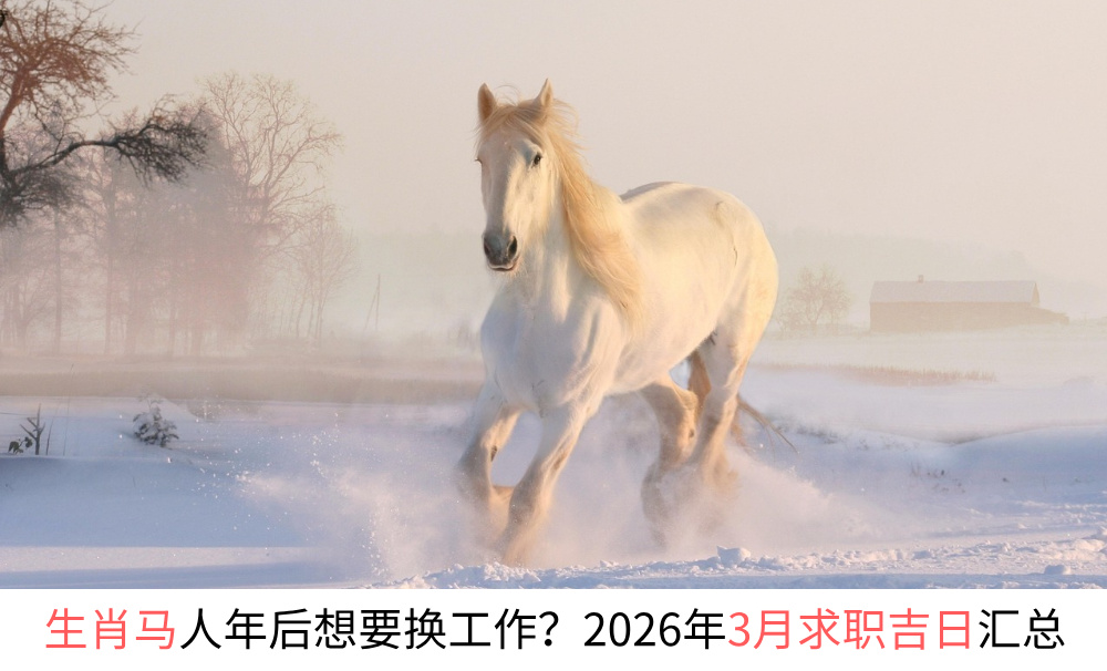 生肖马人年后想要换工作？2026年3月求职吉日一览