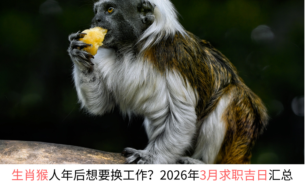生肖猴2026年3月求职吉日一览表