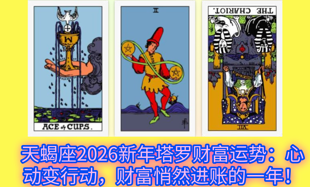 天蝎座2026新年塔罗财富运势：心动变行动，财富悄然进账的一年！