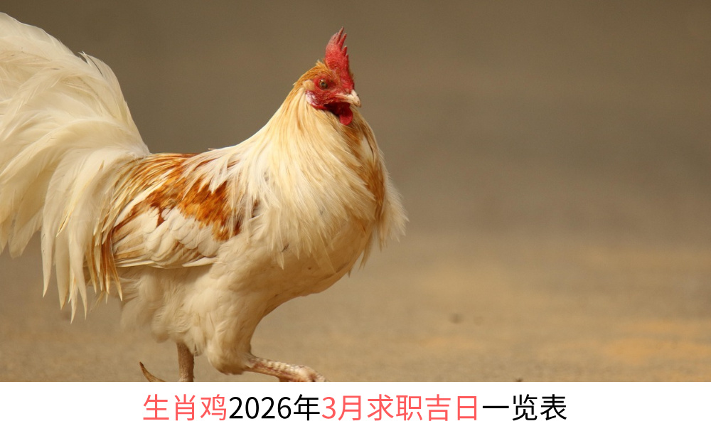 生肖鸡2026年3月求职吉日一览表
