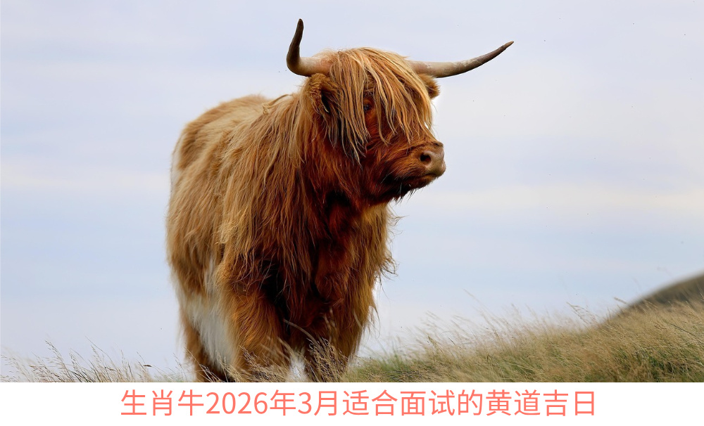 生肖牛2026年3月适合面试的黄道吉日
