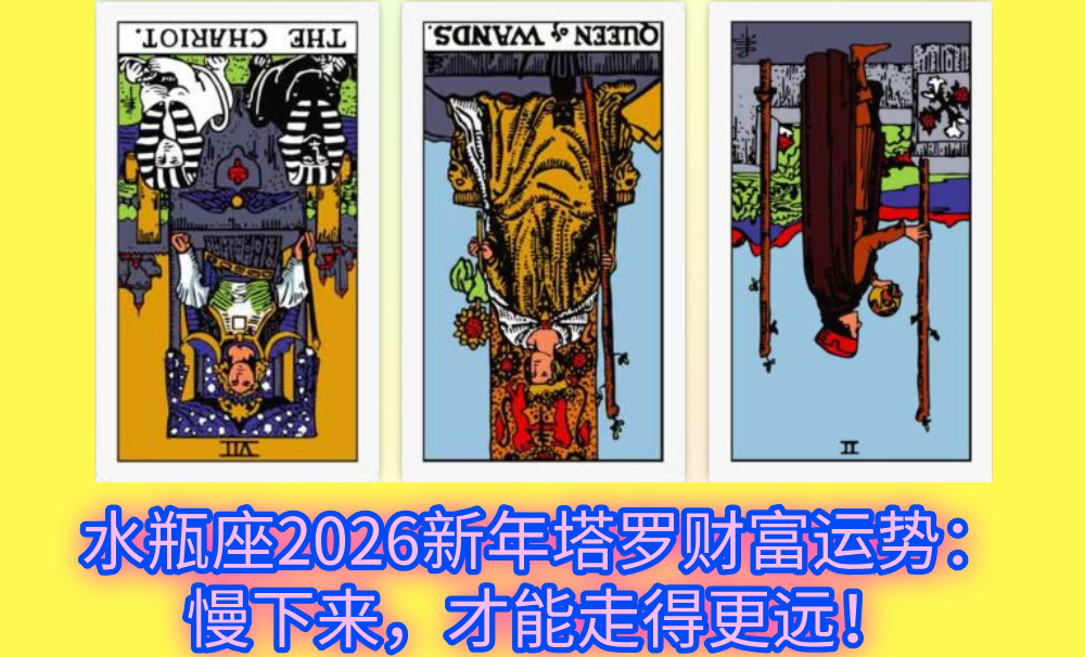 水瓶座2026新年塔罗财富运势：慢下来，才能走得更远！