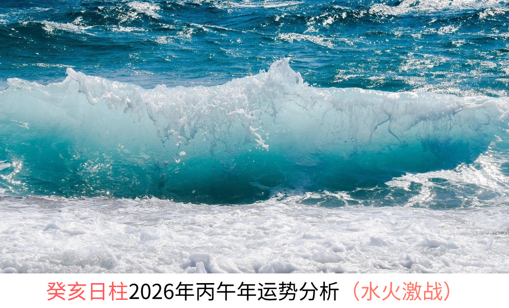 癸亥日柱2026年丙午年运势分析（水火激战）