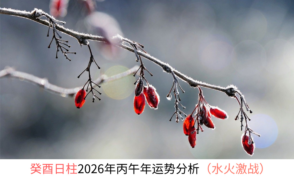 癸酉日柱2026年丙午年运势分析（财星配印）