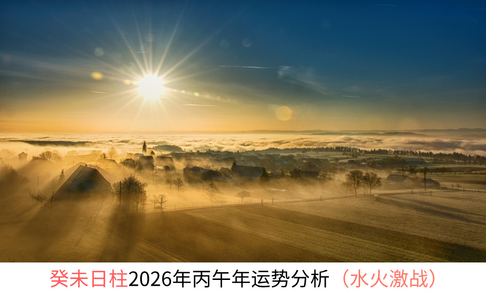 癸未日柱2026年丙午年运势分析（财星合煞）