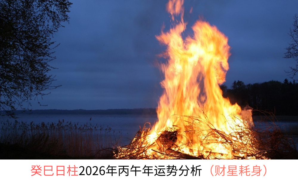 癸巳日柱2026年丙午年运势分析（财星耗身）
