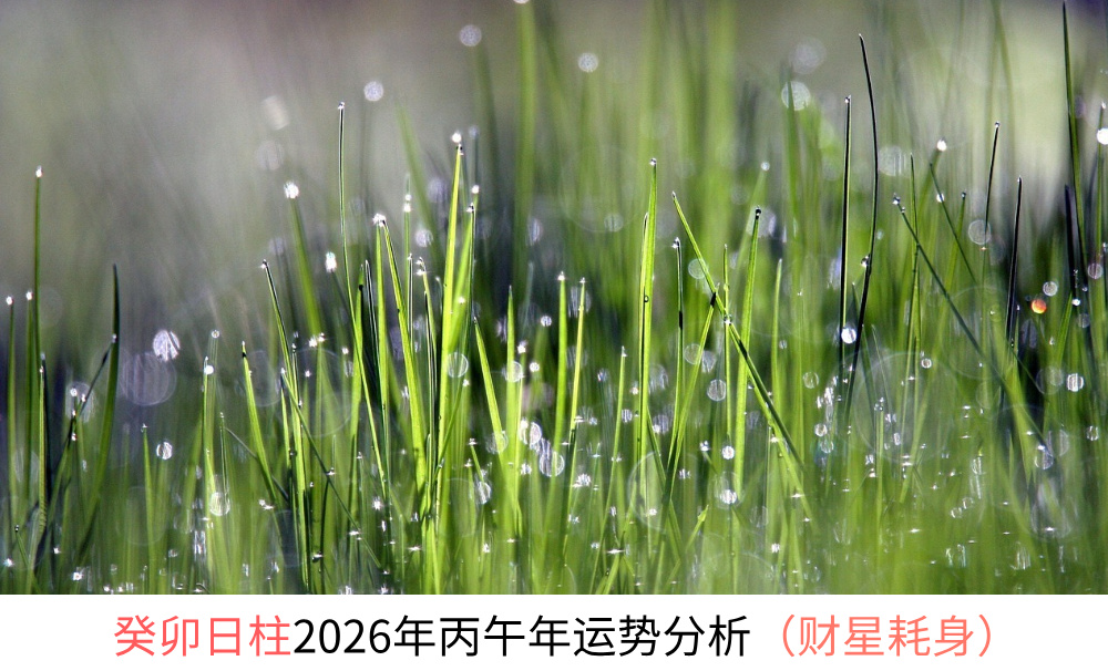 癸卯日柱2026年丙午年运势（食神生财）