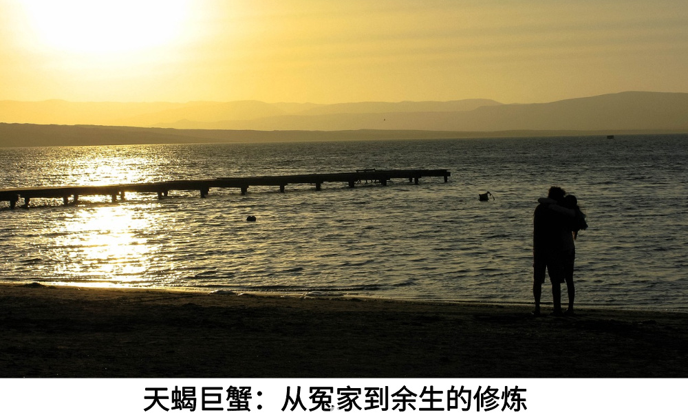 天蝎巨蟹：从冤家到余生的修炼！