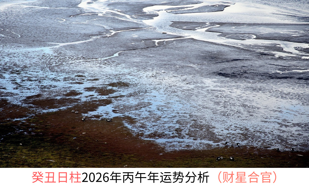 癸丑日柱2026年丙午年运势（财星合官）