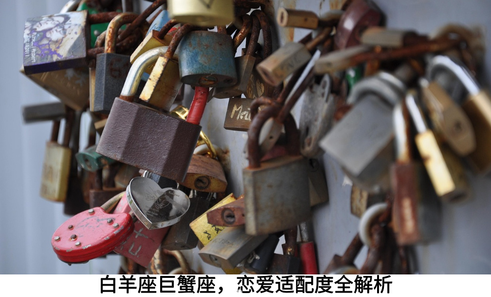 白羊座巨蟹座,恋爱适配度全解析