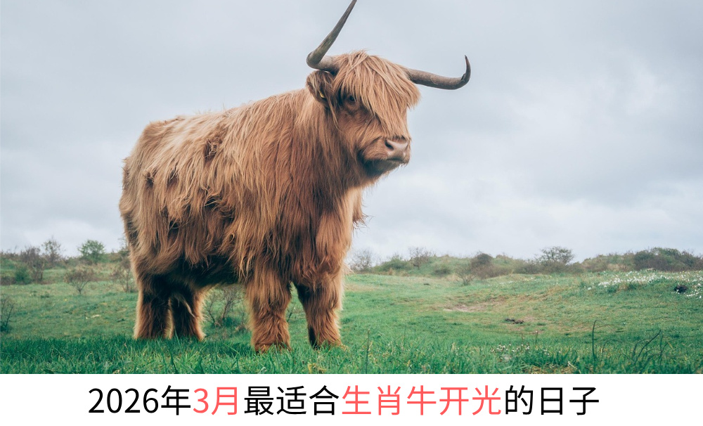 2026年3月最适合生肖牛开光的日子