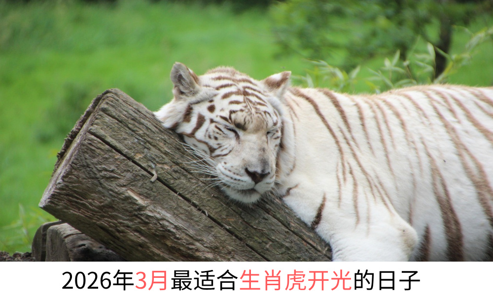 2026年3月最适合生肖虎开光的日子