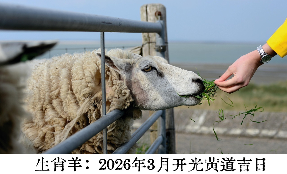 2026年3月生肖羊开光吉日（丙午年辛卯月）