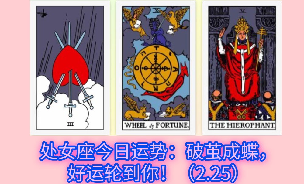 处女座今日运势：破茧成蝶，好运轮到你！（2.25）