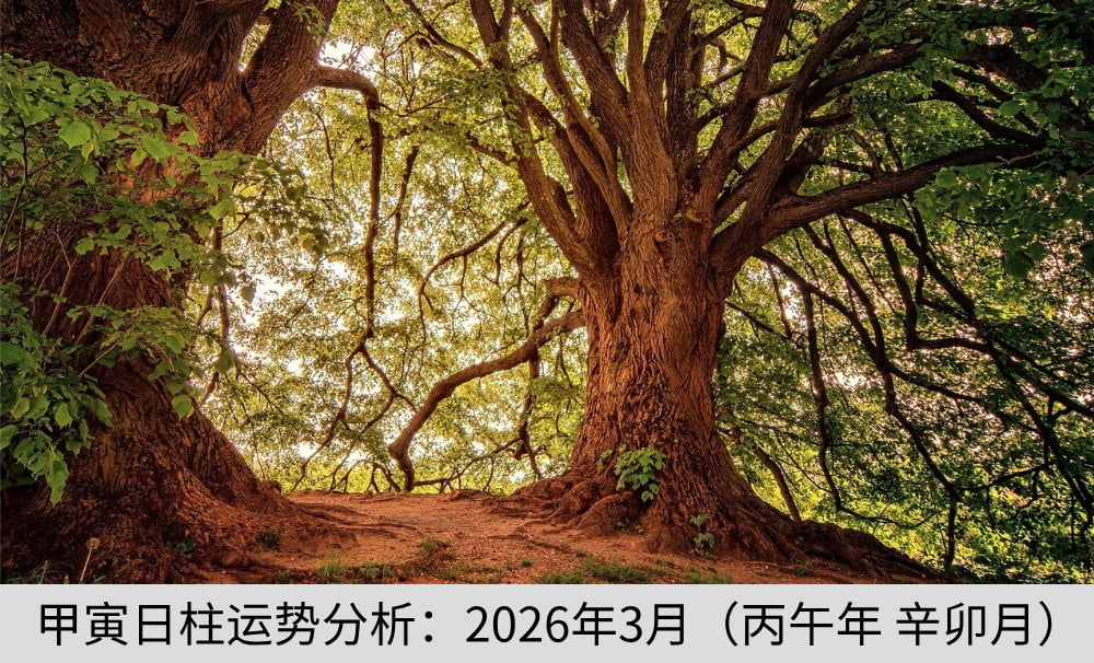 甲寅日柱运势分析:2026年3月(丙午年 辛卯月)