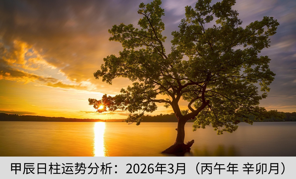甲辰日柱运势分析:2026年3月(丙午年 辛卯月)