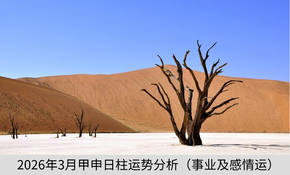 2026年3月甲申日柱运势分析（事业及感情运）