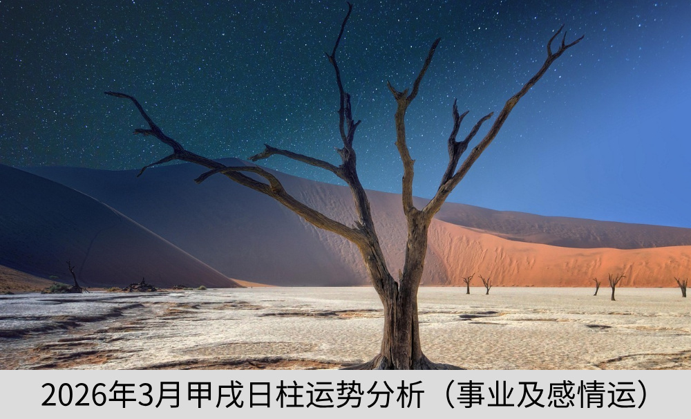 2026年3月甲戌日柱运势分析（事业及感情运）