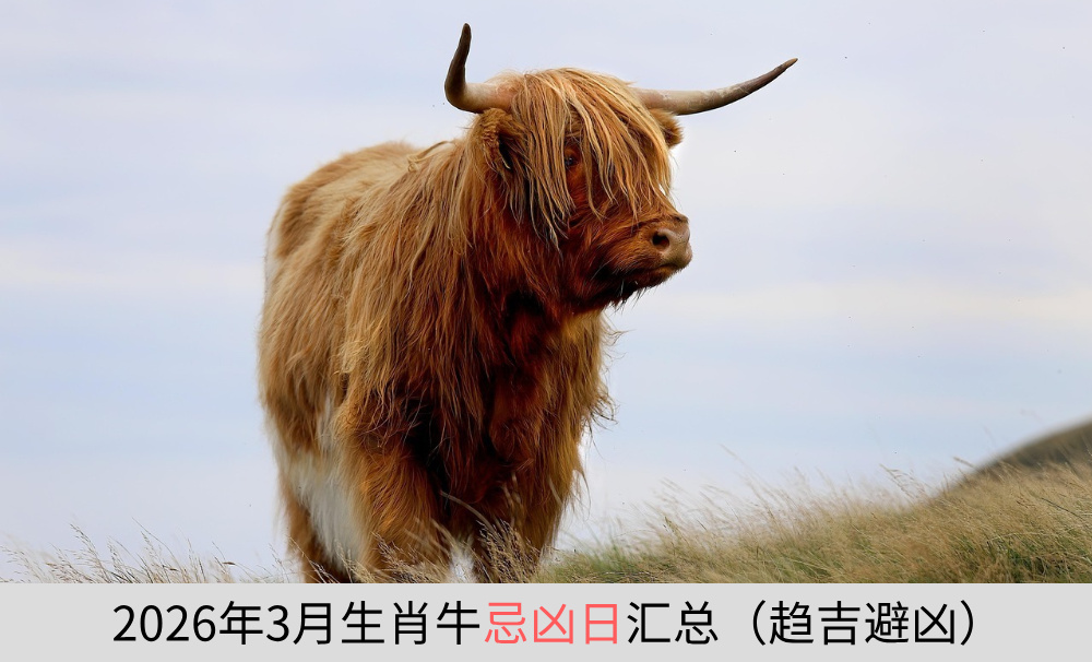 2026年3月生肖牛忌凶日汇总（趋吉避凶）