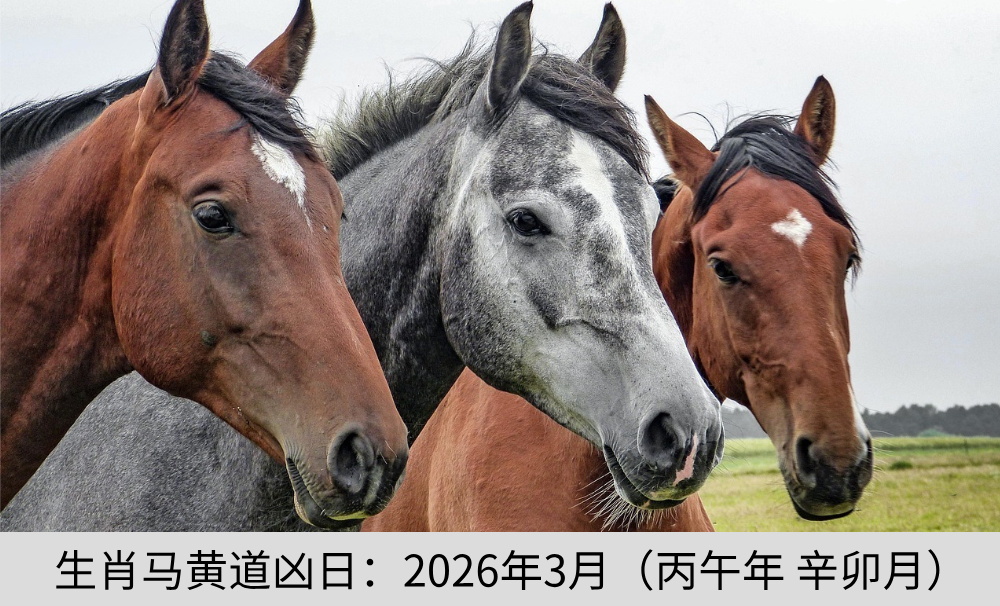 生肖马黄道凶日：2026年3月（丙午年辛卯月）