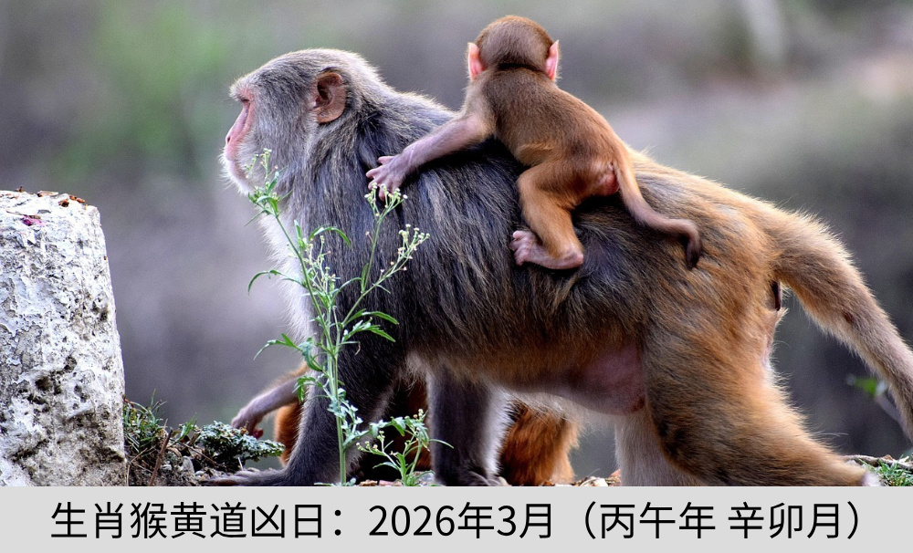 生肖猴黄道凶日：2026年3月（丙午年辛卯月）