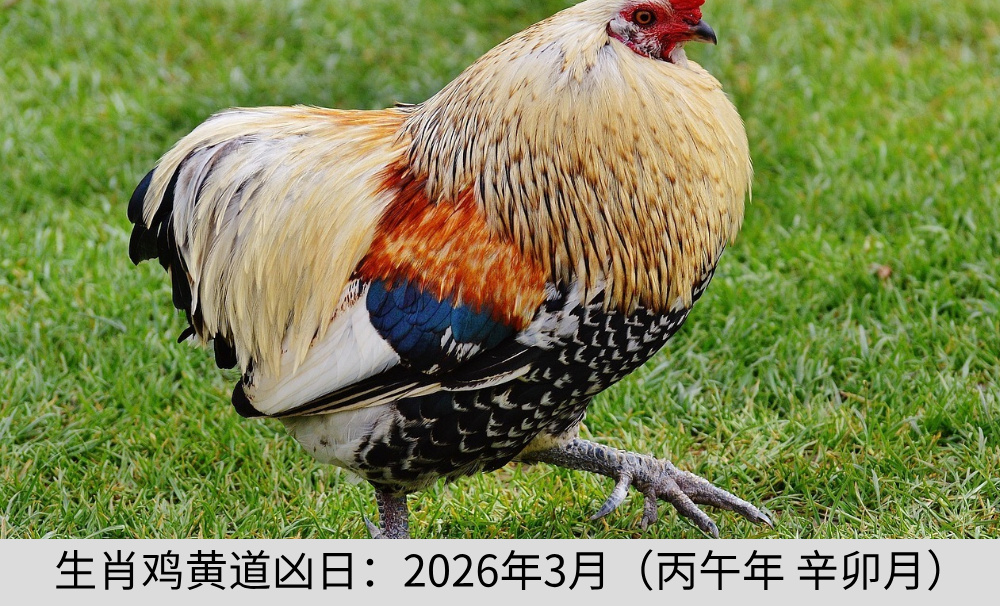 2026年3月生肖鸡人有哪些需要避开的凶日？