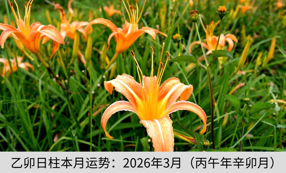 乙卯日柱本月运势：2026年3月（丙午年辛卯月）