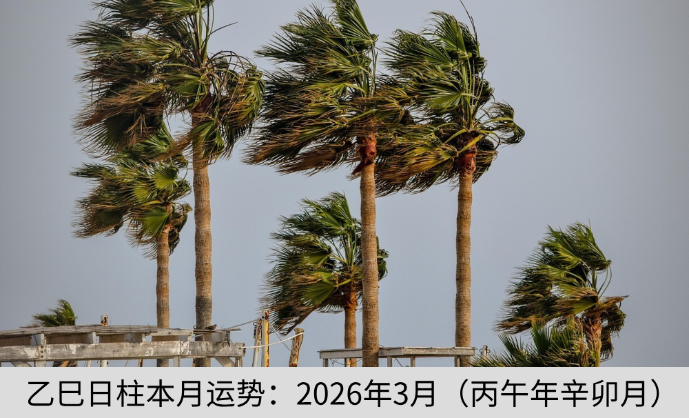 乙巳日柱本月运势：2026年3月（丙午年辛卯月）