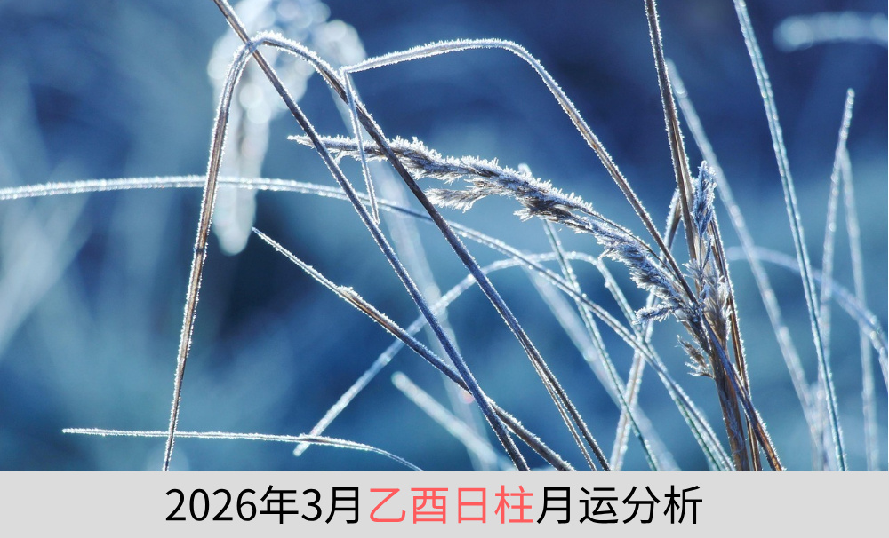 2026年3月乙酉日柱月运分析