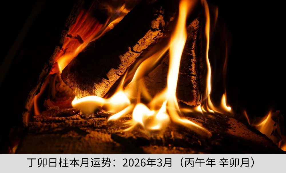 丁卯日柱本月运势：2026年3月（丙午年 辛卯月）
