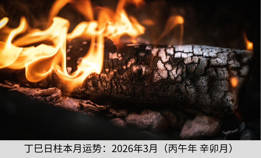 丁巳日柱本月运势：2026年3月（丙午年辛卯月）