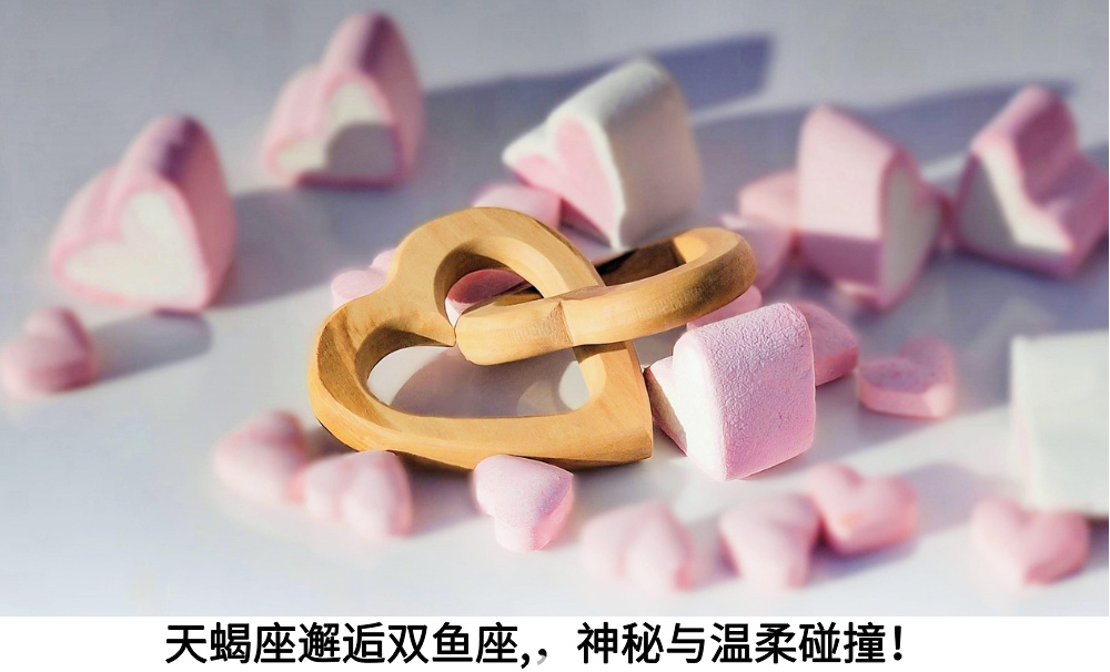 天蝎座邂逅双鱼座,神秘与温柔碰撞!