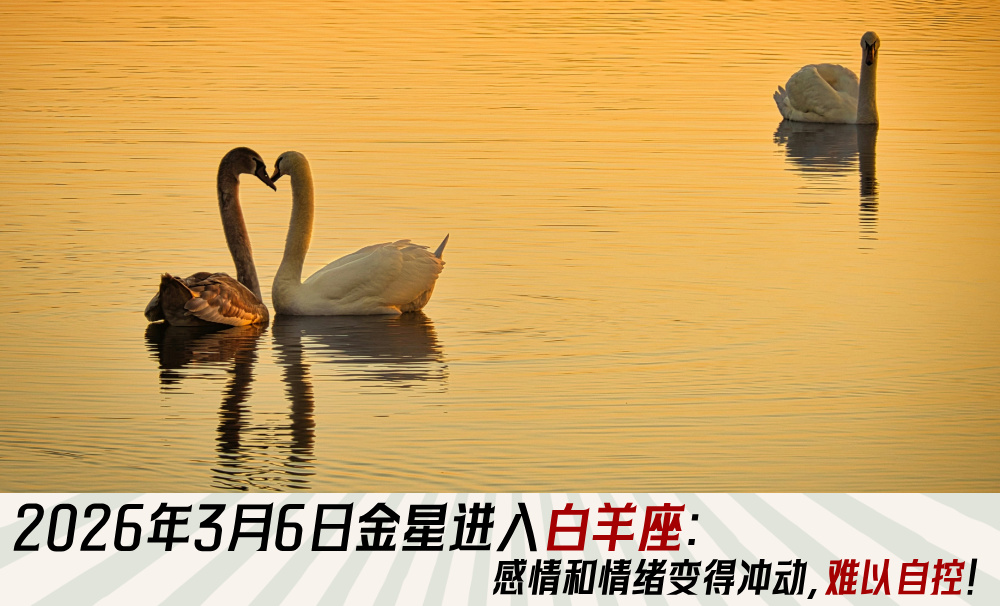 2026年3月6日金星进入白羊座：感情和情绪变得冲动，难以自控！