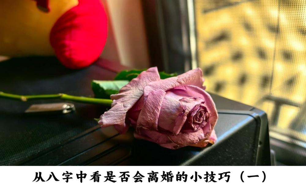 从八字中看是否会离婚的小技巧（一）