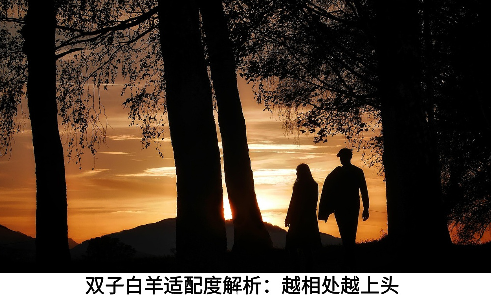 双子白羊适配度解析：越相处越上头