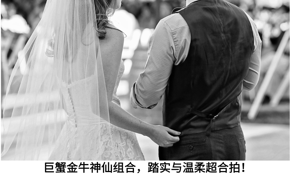 巨蟹金牛神仙组合，踏实与温柔超合拍！