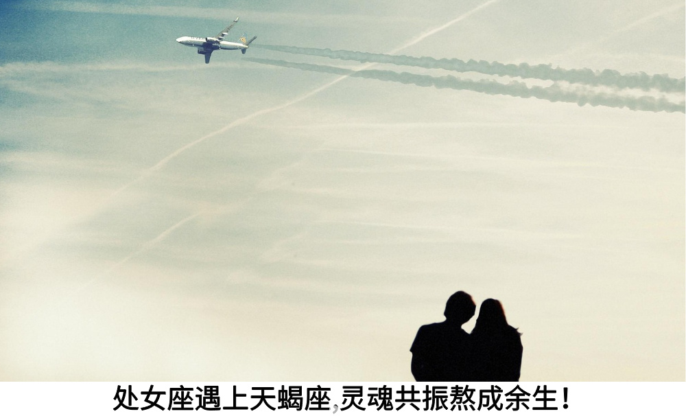 处女座遇上天蝎座，灵魂共振熬成余生！