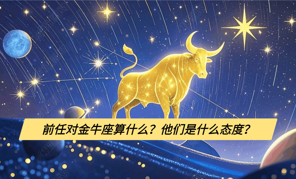 前任对金牛座算什么？他们是什么态度？