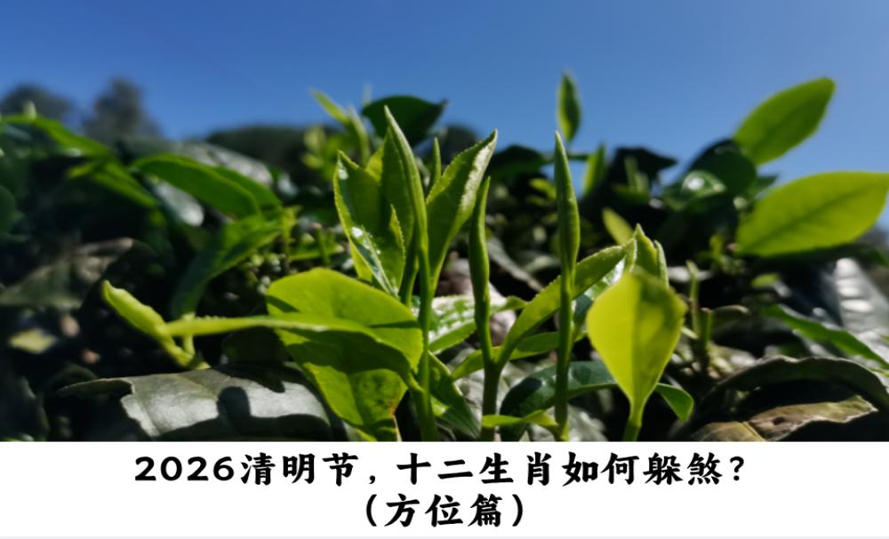 2026清明节，十二生肖如何躲煞？（方位篇）