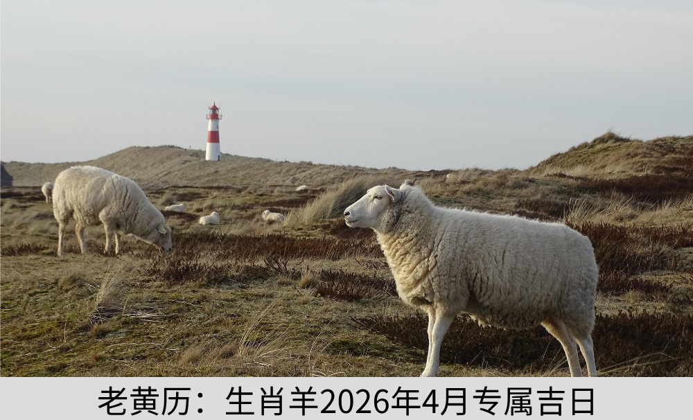 老黄历：生肖羊2026年4月专属吉日