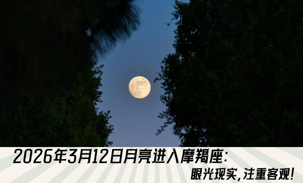 2026年3月12日月亮进入摩羯座：眼光现实，注重客观！
