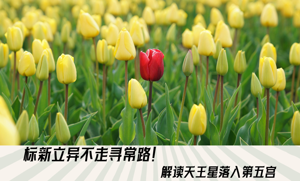 标新立异不走寻常路！解读天王星落入第五宫