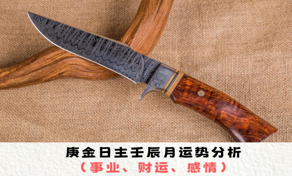 庚金日主壬辰月运势分析（事业、财运、感情）