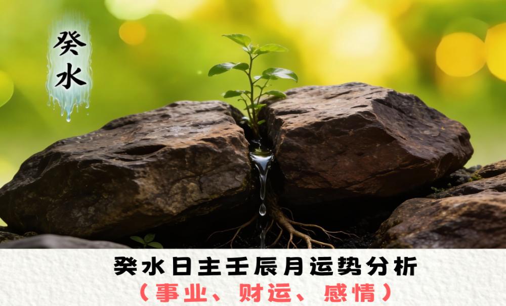 癸水日主壬辰月运势分析（事业、财运、感情）